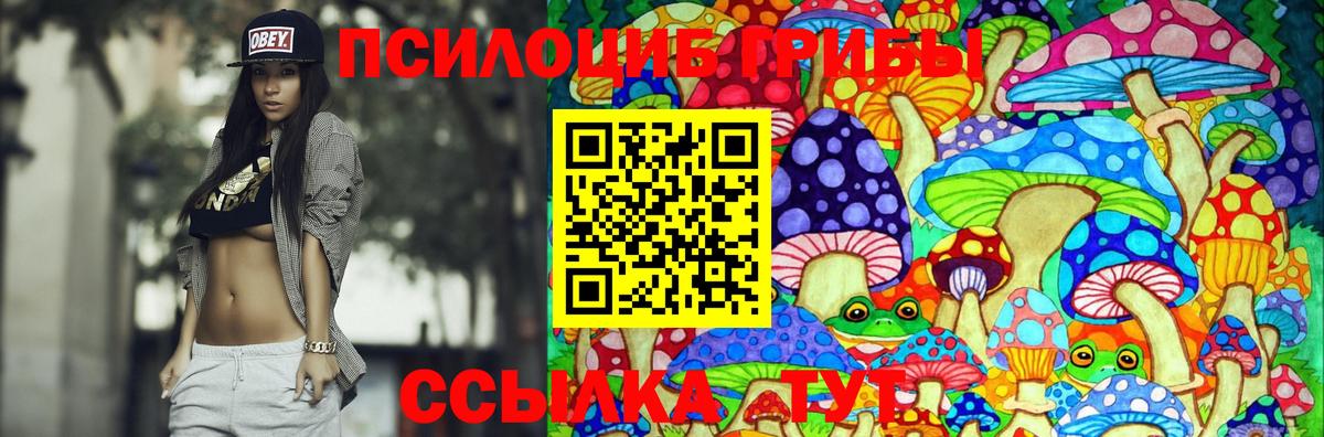 Фурманов  Псилоцибиновые грибы MAGIC MUSHROOMS  Галлюциногенные грибы прущие грибы  Вход с VPN 